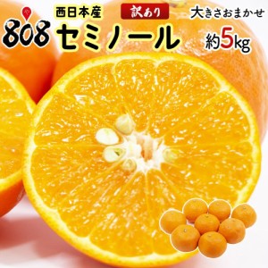 【送料無料】【和歌山他西日本産】訳あり　セミノール　大きさお任せ　約5kg(北海道沖縄別途送料加算)みかん/セミノール/訳あり/柑橘類/