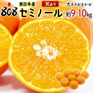 【送料無料】【和歌山他西日本産】訳あり　セミノール　大きさお任せ　約9〜10kg(北海道沖縄別途送料加算)みかん/セミノール/柑橘類/訳あ