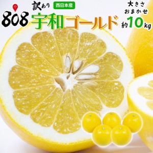 【送料無料】【愛媛県産】訳あり　宇和ゴールド　大きさおまかせ　約8〜10kg(北海道沖縄別途送料加算)河内晩柑/家庭用/訳有/訳あり/