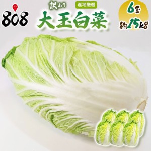 【送料無料】【産地厳選】大玉　白菜　 1箱　6玉入り　約15kg(北海道沖縄別途送料加算)はくさい/キムチ/漬物/敬老の日/キムチ/漬物