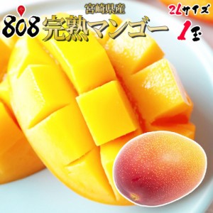 【クール便送料無料】【宮崎県産】完熟マンゴー　2Ｌサイズ　約350g〜459g　1玉(北海道沖縄別途送料加算)お中元/ギフト/贈答/ラッピング/