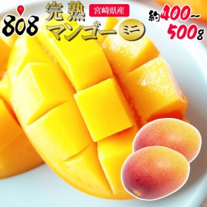 【クール便送料無料】【宮崎県産】完熟マンゴーミニ　約400〜500g (北海道沖縄別途送料加算)お中元/ギフト/贈答/ラッピング/のし/可/母の