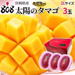 【クール便送料無料】【宮崎県産】太陽のタマゴ 化粧箱入 2Lサイズ3玉（350ｇ〜459ｇ×3玉）(北海道沖縄別途送料加算)完熟マンゴー/お中