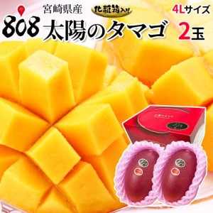 【クール便送料無料】【宮崎県産】太陽のタマゴ 化粧箱入 4Lサイズ2玉（510g〜649g×2玉）(北海道沖縄別途送料加算)完熟マンゴー/ギフト/