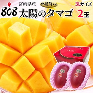 【クール便送料無料】【宮崎県産】太陽のタマゴ 化粧箱入 3Lサイズ2玉（460ｇ〜509ｇ×2玉）(北海道沖縄別途送料加算)完熟マンゴー/お中