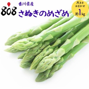 【クール便送料無料】【香川県産】さぬきのめざめ 大きさおまかせ 約1kg(北海道沖縄別途送料加算)アスパラガス/グリーンアスパラ/ブラン