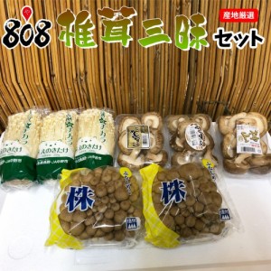 【送料無料】【産地厳選】椎茸三昧セット(北海道沖縄別途送料加算)野菜詰めあわせ/野菜セット/野菜つめあわせ/詰め合せ/野菜宅配/きのこ/