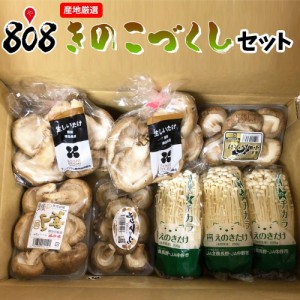 【送料無料】【産地厳選】きのこづくしセット(北海道沖縄別途送料加算)野菜詰めあわせ/野菜セット/野菜つめあわせ/詰め合せ/野菜宅配/き