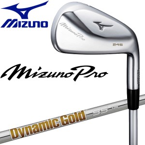 ミズノ ゴルフ Mizuno Pro 245 アイアン セット 6本組 Dynamic Gold 95 スチールシャフト 5KJWS333 ミズノプロ