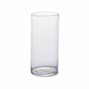 ポッシュリビング フラワーベース 22621 | 花瓶 フレームポット ガラス ブラス ガラスアンティーク風 ボトルベース 木 花 フラワー おし