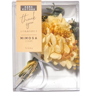 ｈｉｋｋａ 花言葉ブーケＢＯＸミニ ミモザ ミモザ hk0052-MS | 24-0272-022インテリア 雑貨 グッズ 小物 飾り 置物 ドライフラワー プリ