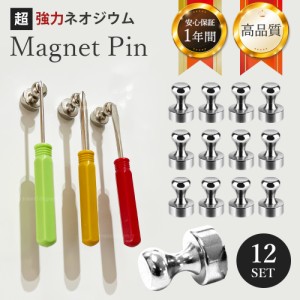 マグネット ピン 強力 収納 フック シルバー 12個セット おしゃれ 強力 かわいい シンプル Magnet Pin ネオジム磁石 ネオジウム磁石 フッ