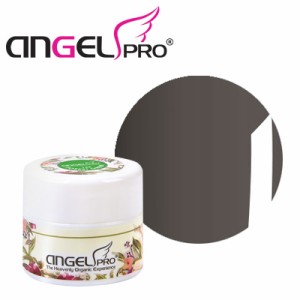 ジェルネイル カラージェル ANGEL PRO ポットジェリー ＃15 PEBBLE 4g