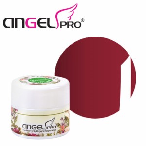 ジェルネイル カラージェル ANGEL PRO ポットジェリー ＃22 GARNET 4g