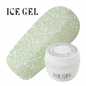 ジェルネイル セルフ カラージェル ICE GEL アイスジェル カラージェル FE-100 3g