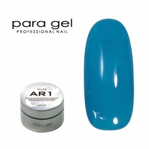 ジェルネイル セルフ カラージェル パラジェル ｐａｒａ ｇｅｌ アートカラージェル AR9 ターコイズブルー