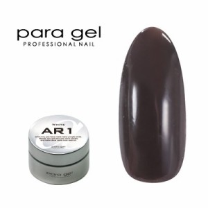 ジェルネイル カラージェル パラジェル ｐａｒａ ｇｅｌ アートカラージェル AM28 ダークブラウン