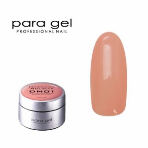 ジェルネイル カラージェル パラジェル ｐａｒａ ｇｅｌ デザイナーズカラージェル DN03 サンセットベージュ