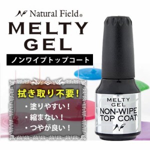 ジェルネイル トップコート NFS メルティージェル MELTY GEL ノンワイプトップコート 14g