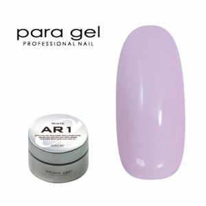 ジェルネイル カラージェル パラジェル ｐａｒａ ｇｅｌ アートカラージェル AM2 ミルキーラベンダー