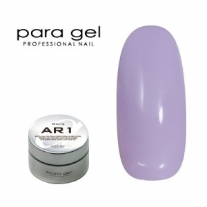 ジェルネイル カラージェル パラジェル ｐａｒａ ｇｅｌ アートカラージェル AM3 ミルキーライラック