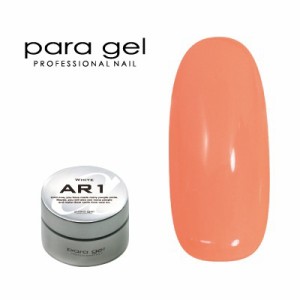 ジェルネイル カラージェル パラジェル ｐａｒａ ｇｅｌ アートカラージェル AM5 ミルキーキャロット