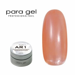 ジェルネイル カラージェル パラジェル ｐａｒａ ｇｅｌ アートカラージェル AP3 ティーブラウン