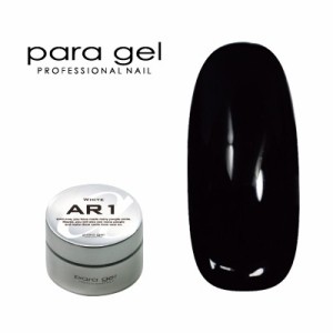 ジェルネイル カラージェル パラジェル ｐａｒａ ｇｅｌ アートカラージェル AR10ブラック