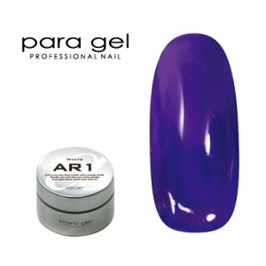 ジェルネイル カラージェル パラジェル ｐａｒａ ｇｅｌ アートカラージェル AR15 バイオレット