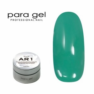 ジェルネイル カラージェル パラジェル ｐａｒａ ｇｅｌ アートカラージェル AR17 クリスマスグリーン