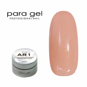 ジェルネイル カラージェル パラジェル ｐａｒａ ｇｅｌ アートカラージェル AS9 ビューティーベージュ