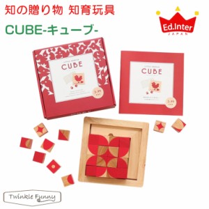 エドインター 知の贈り物/CUBE キューブ エド・インター 脳活 パズル