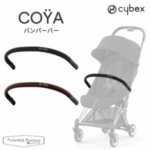 正規販売店 サイベックス COYA コヤ 専用 バンパーバー