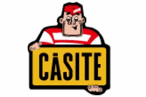 レオ ms146 【送料無料】【アメリカン雑貨】レーシングステッカー【CASITE】【car】【車】【アメリカ】【USA】【アメキャラ】【シール】