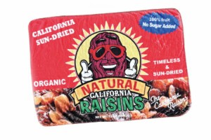 ショRAISIN　【アメリカン雑貨】ボアブランケット【RAISIN2】【アメリカ】【USA】【アメキャラ】【毛布】【ボア】【ブランケット】【ひざ