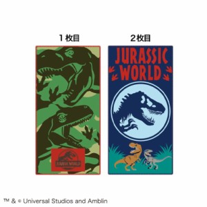 マル4985005900　【送料無料】【ジュラシックワールド】ポケットタオル2枚組【フェイスダイナソー】【恐竜】 【サウルス】【ダイナソー】