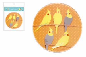 【送料無料】【pi】【鳥シリーズ】アクリルコースター【オカメインコ】【インコ】【トリ】【いんこ】【鳥】【鳥類】【ペット】【アニマル