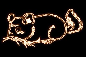 【ネオン】リス【りす】【アニマル】【動物】【ネオンライト】【電飾】【LED】【ライト】【サイン】【neon】【看板】【イルミネーション