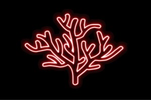 【ネオン】サンゴ【サンゴ礁】【珊瑚】【珊瑚礁】【夏】【サマー】【海】【動物】【アニマル】【ネオンライト】【電飾】【LED】【ライト