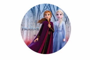 送料無料  ディズニーキャラクター 缶バッジ 姉妹  アナと雪の女王2  アナ  エルサ  オラフ  アナと雪の女王  姫  アナ雪  ディズニー  