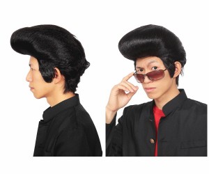 グッズ　つっぱりリーゼントリーゼント　つっぱり　不良　カツラ　かつら　ヘアー　ウィッグ　パーティ　ハロウィン　コスプレ　コスチュ