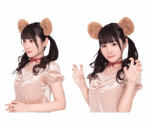 グッズ　けもみみピンくま　クマ　ベア　ヘアピン　アイテム　小物　ハロウィン　コスプレ　コスチューム　衣装　仮装　かわいい