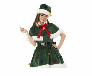 レディ　ホーリーナイトツリーツリー　クリスマス　仮装　衣装　コスプレ　コスチューム　サンタクロース　パーティ　イベント　かわいい