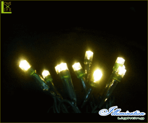 【イルミネーション】LED　室内用ライト【グリーンコード】【50球】【電球色】【LEDライト】【タイマー付】【ストレート】【電飾】【装飾