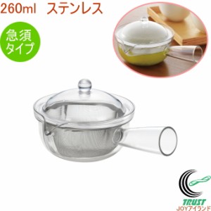 クリアティーポット ステンレスメッシュ 急須タイプ TW-3737 日本製 お茶 ティー ティーポット ヨコ手 急須 丈夫 軽い 食洗機OK