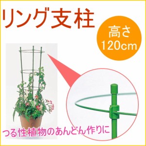 植物 つる 支柱 おしゃれの通販 Au Pay マーケット