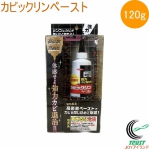 カビックリンペースト 120g 日本製 業務用 カビ取りカビ カビ退治 カビ取り剤 ペースト 目地 強力 高密着 水まわり