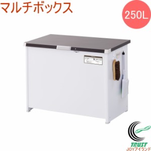 屋外用ストッカー マルチボックス 250L CLM-125C 送料無料 組立品 屋外用 ダストボックス 物置 フック付き 整理 整頓 スッキリ 宅配ボッ