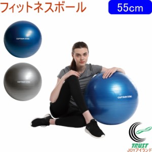 キャプテンスタッグ Vit Fit フィットネスボール 55cm 全2色 ストレッチ 運動 エクササイズ 健康 ヨガ ボール ヨガボール フィットネスボ