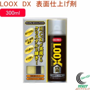 ルックスDX 300ml 専用スポンジ＆クロス付き 1187   日本製 金属 硬質プラスチック メッキ スプレー 表面仕上げ剤 汚れ落とし キズ消し 